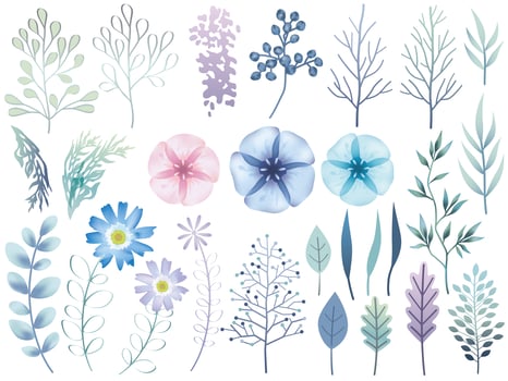 Set of Blue Purple Botanical Elements Isolated vector