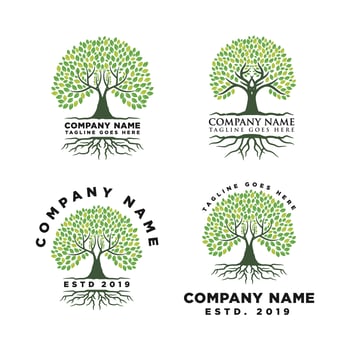 Root Of The Tree Logo Design Inspiration vector