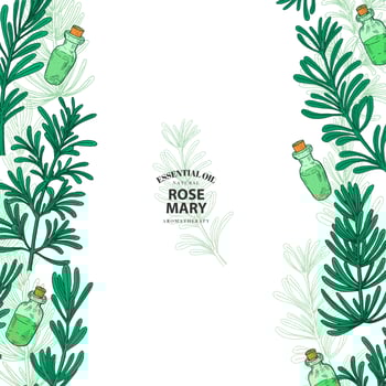 Hand Drawn Colorful Rosemary Borders on White vector