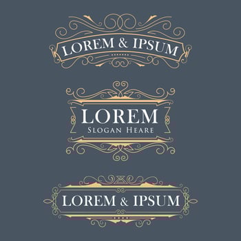 Golden Vintage Ornamental Frame Set vector