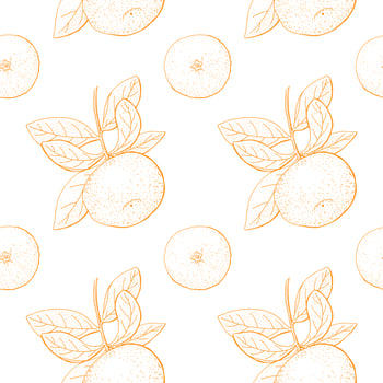 Citrus Vintage Seamless Pattern vector