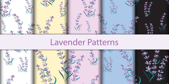 Seamless Floral Lavender Patterns vector