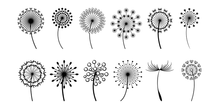 Dandelion collection in black vector