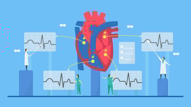 Cardiology Electrocardiogram Concept  vector