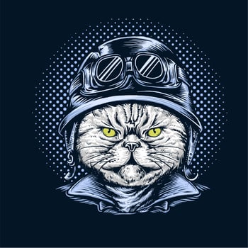 Cat Wearing Motorcycle Helmet vector
