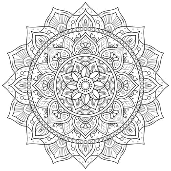 Circular Flower Mandala vector