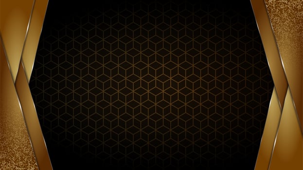 Black and Gold luxury background vector