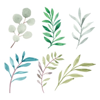 Hand painted leaf greenery element collection vector