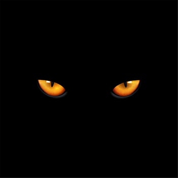 Cat eyes on black background vector