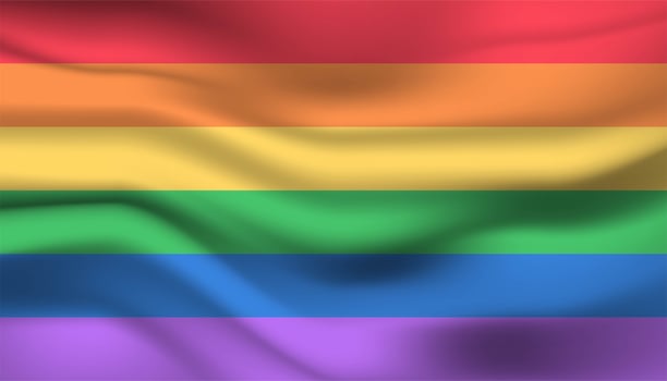 Rainbow Pride Flag Background vector
