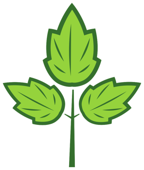 Abstract Tree png