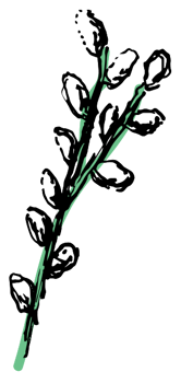 Flower png