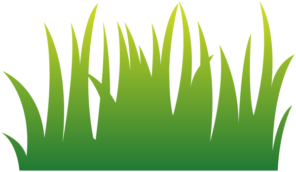Grass png