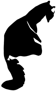 Cat png