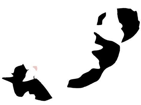 Cat png