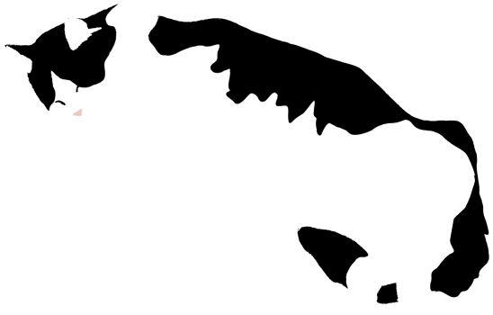 Cat png