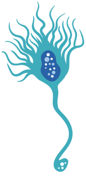 Neuron png