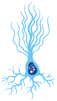 Neuron png