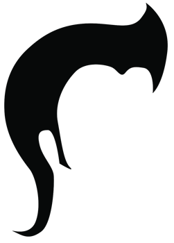 Hair png