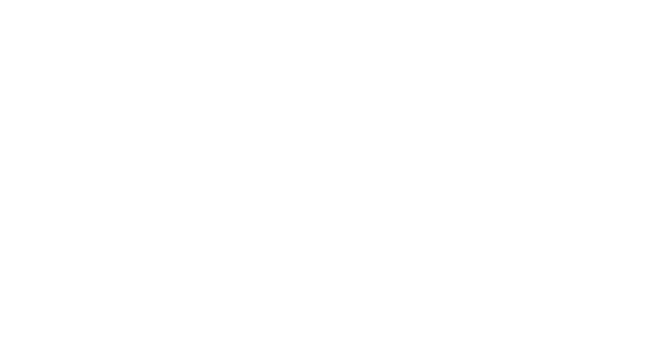 Hawk png