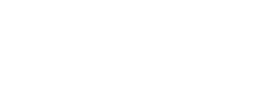 Hawk png