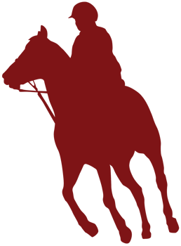 Horse Riding png