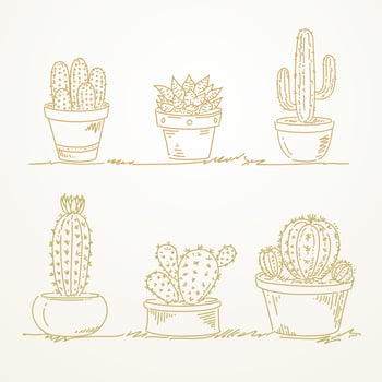 Hand drawn Cactus pot vector