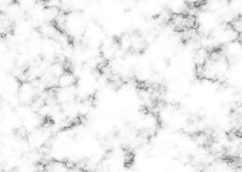 White marble texture  vector