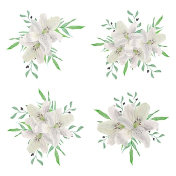 Watercolor white lily flower bouquet collection vector