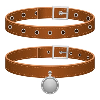 Dog leather leash isolated on white background vector