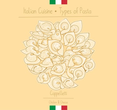 Italian Food Pasta with Filling aka Cappelletti vector
