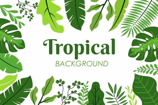 Tropical leaves frame vector