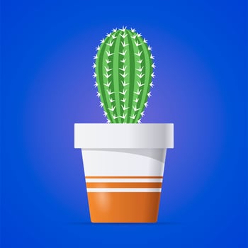 Thorny cactus in a pot vector