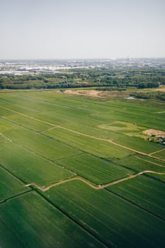 Green farm fields photo