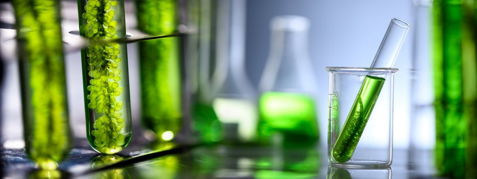 Photobioreactor in laboratory of algae fuel photo