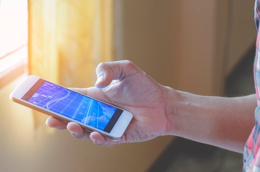 Person holding smartphone in hand photo
