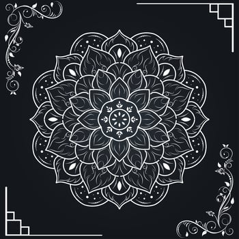 White mandala and floral frame border vector