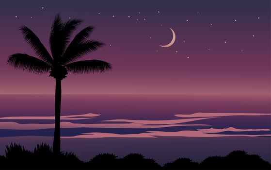 Tropical Beach Night Time vector