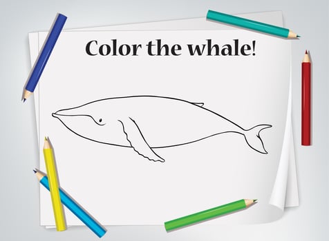 Children's whale coloring worksheet vector