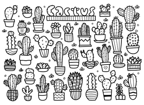 Cactus doodle set vector