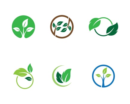 Circular green ecology logo set  vector