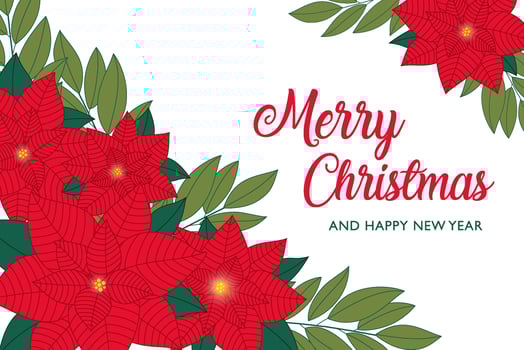 Christmas Greeting Card Red Poinsettia and Leaves vector
