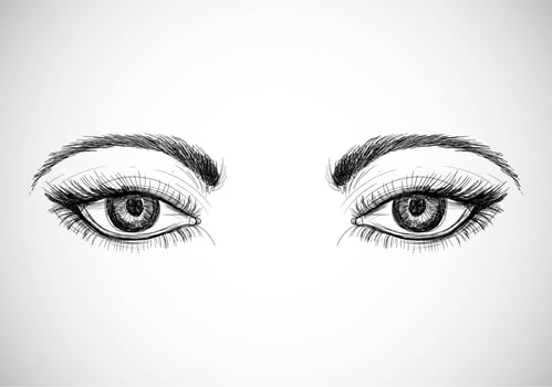 Hand Drawn Female Eyes vector