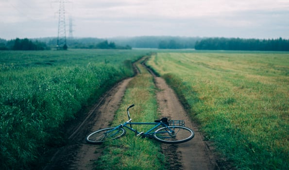 Blue bike on green grass photo