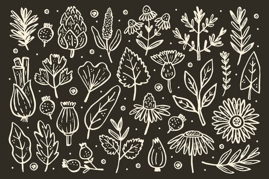 Herbs big set. Forest plants. Flower, branch, leaf, hops, cone. vector