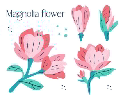 Little pink magnolia flowers set. vector