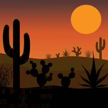Desert cactus silhouette with sunset vector