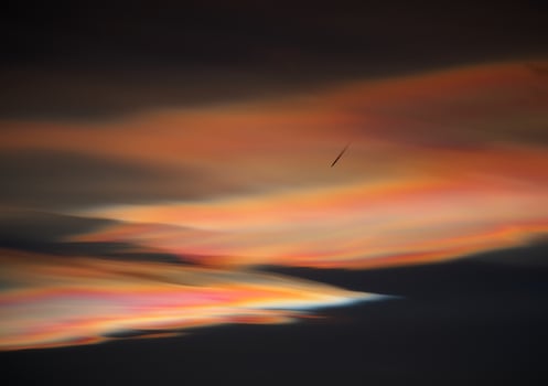 Orange, black, and yellow colors photo
