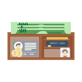 Wallet with money and cards vector