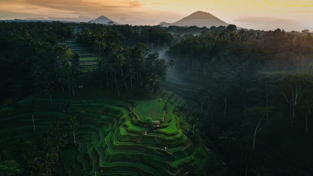 Terraced hillside in Indonesia photo